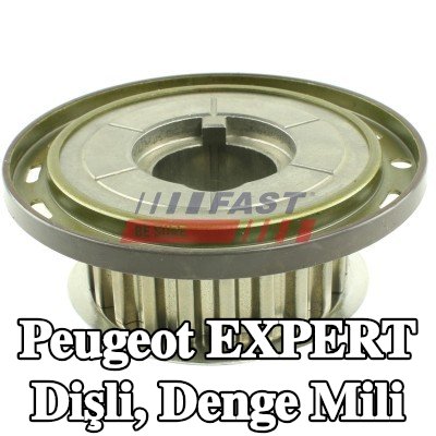 FAST Dişli, denge mili — Peugeot Expert