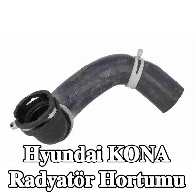 ACKOJA Radyatör Hortumu Alt, kelepçe ile — Hyundai Kona