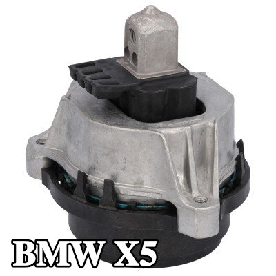 FEBI BILSTEIN حامل المحرك الأيمن — BMW X5