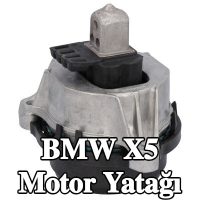FEBI BILSTEIN Motor yatağı Sağ — BMW X5