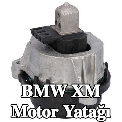 FEBI BILSTEIN Motor yatağı Sağ — BMW Xm