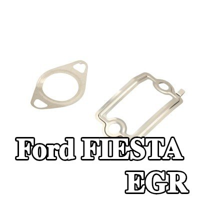 FAST حشية أنبوب صمام EGR — 2002 Ford Fiesta