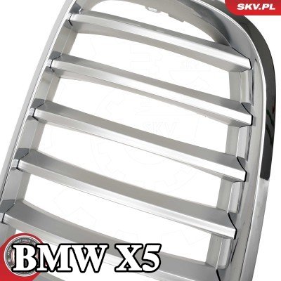 ESEN SKV شبكة المبرد على الجانبين, كروم — 2012 BMW X5