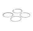MAHLE Piston Segman Kiti — 1990 Volkswagen Transporter (2)