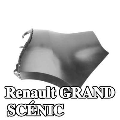 BLIC المصد الخلفي الأيسر الخلفي — Renault Grand Scénic