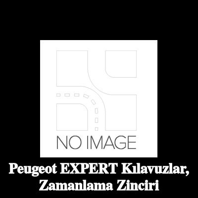 CITROEN/PEUGEOT Kılavuzlar, zamanlama zinciri — Peugeot Expert
