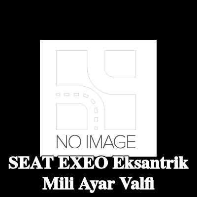 MAGNETI MARELLI Eksantrik mili ayar valfi — 2009 SEAT Exeo