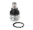 RIDEX Ön Aks Alt Bilyeli Mafsal, 20mm — Nissan Quest (3)