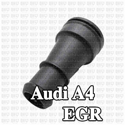 QUINTON HAZELL ثرموستات EGR مع حشوة/ختم — Audi A4