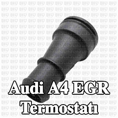 QUINTON HAZELL Conalı/sızdırmazlık elemanlı EGR termostatı — Audi A4