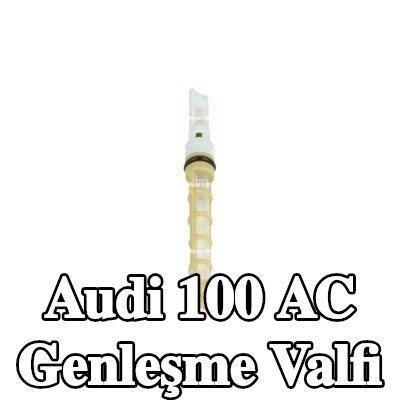NRF AC genleşme valfi — Audi 100