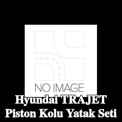 NE Piston Kolu Yatak Seti — Hyundai Trajet