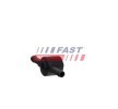 FAST Valf, yakıt filtresi — Audi Allroad (4)