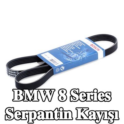 BOSCH Serpantin kayışı 1155mm, Number of ribs: 5 — 1990 BMW 8 Series