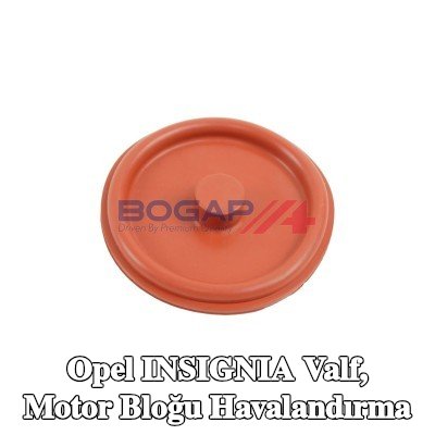 BOGAP Valf, motor bloğu havalandırma — Opel Insignia