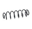 SACHS Helezon yay — Volkswagen New Beetle (6)