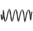 SACHS Helezon yay — Volkswagen Cc (4)