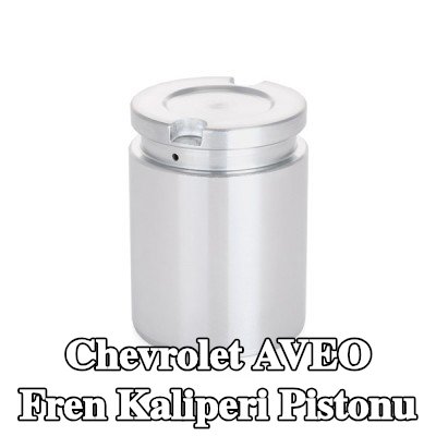 AUTOFREN SEINSA Fren kaliperi pistonu Arka Aks — 2005 Chevrolet Aveo