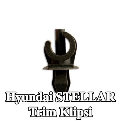 Connect Trim klipsi — Hyundai Stellar