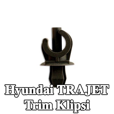 Connect Trim klipsi — Hyundai Trajet