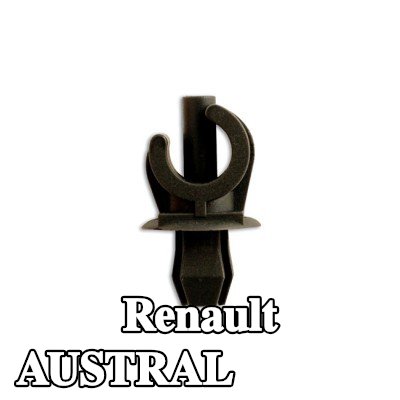 Connect مشبك الزخرفة — Renault Austral