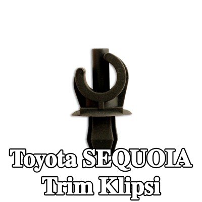 Connect Trim klipsi — Toyota Sequoia