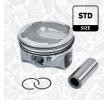 ET ENGINETEAM Piston — Land Rover Discovery (1)
