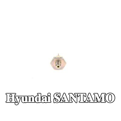 BOSCH مفتاح ضغط الزيت — Hyundai Santamo