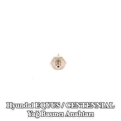 BOSCH Yağ basıncı anahtarı — 2002 Hyundai Equus / Centennial