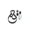 AISIN Zincir seti — 2002 Ford Courier (4)