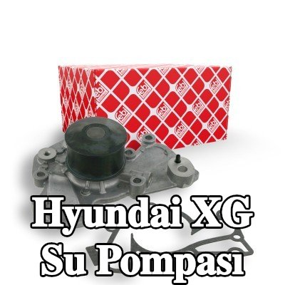FEBI BILSTEIN Conta/sızdırmazlık elemanlı su pompası — Hyundai Xg