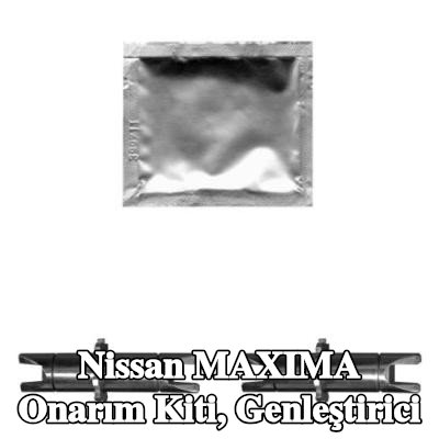 TEXTAR Onarım Kiti, genleştirici — Nissan Maxima