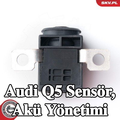 ESEN SKV Sensör, akü yönetimi — Audi Q5