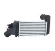 RIDEX Intercooler — Peugeot 607 (3)