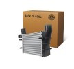 HELLA Intercooler — 2002 Audi A6 (2)