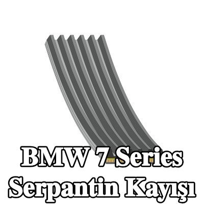 FEBI BILSTEIN Serpantin kayışı 1073mm, Number of ribs: 6 — BMW 7 Series