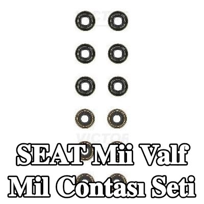 REINZ Valf mil contası seti — SEAT Mii