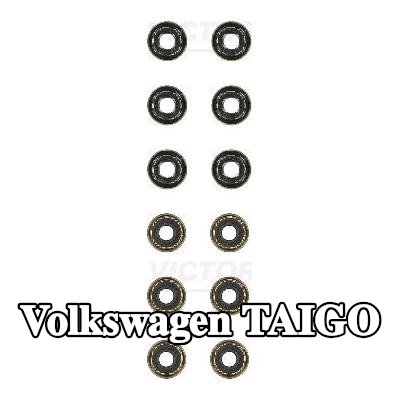 REINZ مجموعة سدادات صمامات الصمامات — Volkswagen Taigo