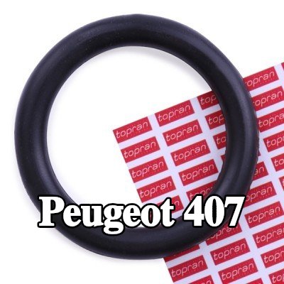 CORTECO حشية مشعب السحب — 2004 Peugeot 407