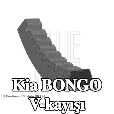BLUE PRINT V-kayışı 925mm — 2000 Kia Bongo