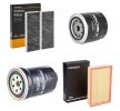 RIDEX Filtre kiti — Nissan Pathfinder (1)