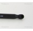 TRISCAN Bagaj kapağı desteği 425mm — DS Ds5 (2)