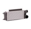 RIDEX Intercooler — 2012 Ford Fiesta (2)