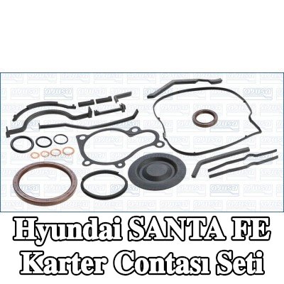 AJUSA Karter contası seti — 2002 Hyundai Santa Fe