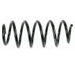 SACHS Helezon yay — 2004 Volkswagen Caddy (4)