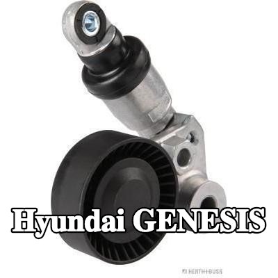 HERTH+BUSS JAKOPARTS مشده حزام المحرك — Hyundai Genesis