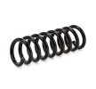 SACHS Helezon yay — Mercedes-Benz Clc (2)