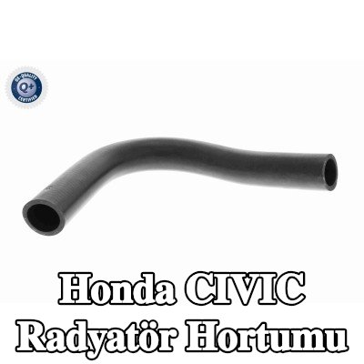ACKOJA Radyatör hortumu Üst — 2002 Honda Civic