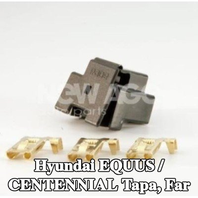NEW AGE Tapa, far — Hyundai Equus / Centennial