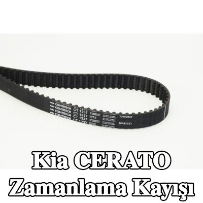 CONTITECH Triger Kayışı Diş Sayısı: 142, 1353mm — Kia Cerato